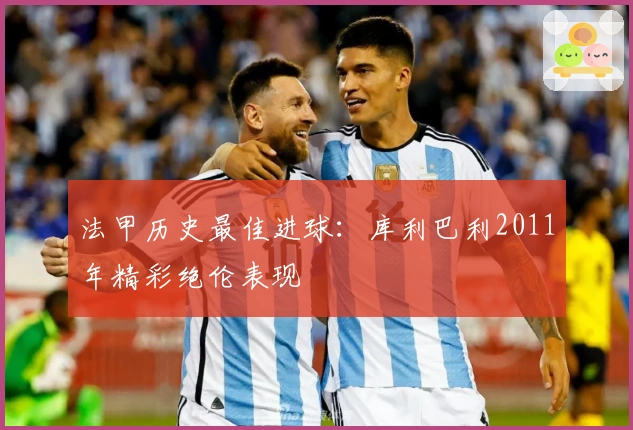 法甲历史最佳进球：库利巴利2011年精彩绝伦表现