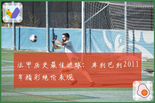 法甲历史最佳进球：库利巴利2011年精彩绝伦表现
